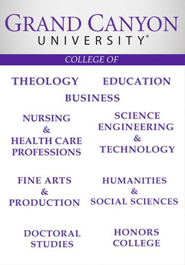 20 oz Purple College of Doctoral Studies Tumbler